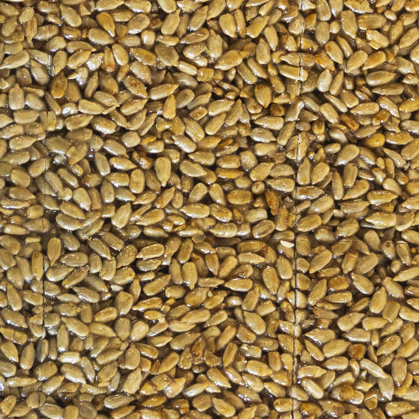 Nutty Crunchers™ Sunflower Crunch Bars